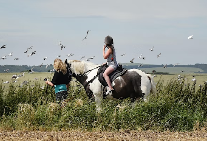 Tackling Suicide Inequalities in Gypsy and Traveller Communities